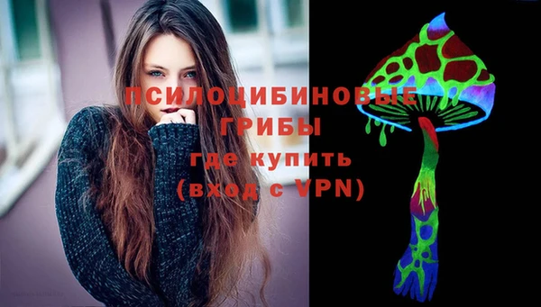 spice Нязепетровск